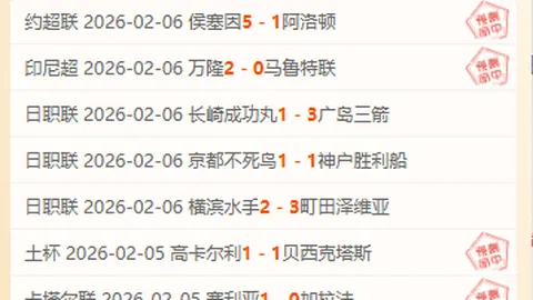 林德洛夫称赞梅努：成熟睿智，决策才智胜于同龄人